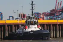 Schlepper VB BEAR; Eigner/Betreiber: Boluda/L&R; Aufnahmeort: Elbe/Hafen Hamburg, Deutschland; Datum: 30.06.2025; Info: (IMO 9701982, MMSI 218029040)