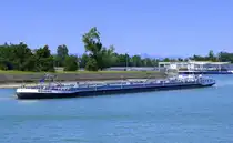 GMS Bohemia, rheinaufwärts in Warteposition vor der Staustufe Vogelgrün/Elsaß, L=80m, Tonnage 1183t, 1014 PS, Baujahr 1992, gemeldet in Tetschen (Decin) Tschechische Republik, Juni 2025