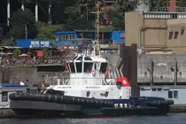 Schlepper VB PERFECT; Eigner/Betreiber: Boluda/L&R; Aufnahmeort: Elbe/Hafen Hamburg, Deutschland; Datum: 30.06.2025; Info: (IMO 9684756). Das Bild zeigt die VB PERFECT am Schlepperponton unterhalb der St.Pauli Landungsbrücken.