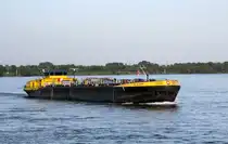 TMS  PIZ ALBRIS  (07001823 , 85,75 x 11,40m) befuhr am 12.06.2025 den  RHEIN  vor Rees zu Tal.