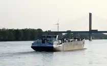 TMS  SARDONYX  (02338728 , 86 x 11,45m) am 12.06.2025 auf dem  RHEIN  bei Rees zu Tal.