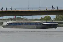 GMS Gottardo, ENI 02326319, gemeldet in Maasbracht, zu Berg auf der Maas in Maastricht. 09.2025