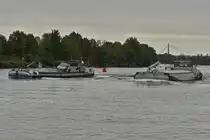 GMS Zwerver, 02314046, beim Versuch das GMS Asteria ENI 08000019, auf der Maas zu passieren, zu Tal nahe Maastricht. 18.09.2025