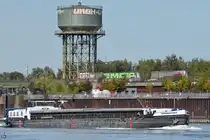 Das Gütermotorschiff NORDERSTEDT (ENI: 04010400) passiert den Rhein bei Duisburg. (September 2025) 