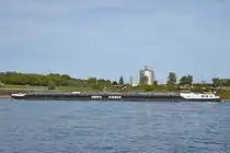 Der Tanker VAN GOGH (ENI: 02338541) befährt den Rhein, so gesehen Ende September 2025 in Duisburg.