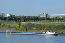 Das Frachtschiff Renate (ENI: 04607960) ist hier Ende September 2025 auf dem Rhein bei Duisburg-Hochfeld zu sehen.