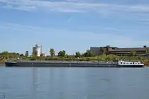 Das Tankmotorschiff BOHEMIA (ENI: 04804100) habe ich Ende September 2025 in Duisburg abgelichtet.