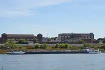 Der Tanker SEMPACHERSEE (ENI: 02331941) fährt den Rhein hinab, so gesehen Ende September 2025 in Duisburg.