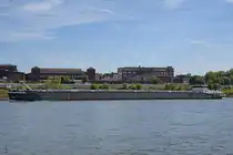 Im Bild der Tanker NOMEVA (ENI: 02339059), welcher Ende September 2025 den Rhein bei Duisburg befuhr.