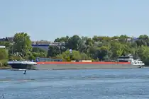 Das Gütermotorschiff MICHELANGELO (ENI: 02329759) war Ende September 2025 in Duisburg zu sehen.