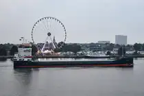 IANA , General Cargo Schiff , IMO 1030375 , Baujahr 2025 , 88.00 x 14.00 m , 10.09.2025 , Rostock-Warnemünde , 