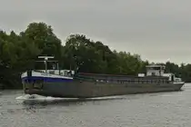 WERE DI, GMS, ENI 06001770; L 80,12 m; B 9,55 m; 1374 t; BJ 1949, gemeldet in Gent (B), auf der Maas zu Tal nahe Maastricht. 09.2025

