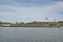 Das Gütermotorschiff VECTOR (ENI: 02331015) fährt den Rhein hinauf, so gesehen Ende September 2025 in Duisburg.