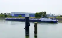 TMS Macan, ENI 02332734, in Wartestellung vor der Staustufe Vogelgrün/Elsaß, L=125m, Tonnage 3351t, 2x1278 PS, Baujahr 2009, gemeldet in Ahn/NL, Ex-Name Ocean, Juni 2025