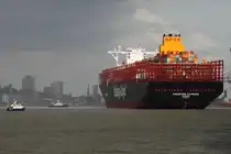 Containerfrachtschiff SINGAPORE EXPRESS;  Eigner/Betreiber: Hapag-Lloyd; Aufnahmeort: Elbe/Hafen Hamburg, Deutschland; Datum: 08.08.2025; Info: (IMO 9543093) Das Bild zeigt die SINGAPORE EXPRESS während des Anlegemanövers am Terminal Burchardkai.