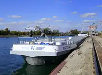 GMS Sandra W., ENI 02335125, ankert im Rheinhafen Breisach, L=135m, Tonnage 3567t, 2x1217 PS, Baujahr 2012, gemeldet in Rotterdam/NL, Okt.2025