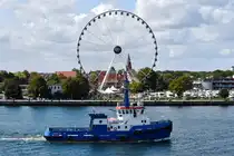 FAIRPLAY XVII , Schlepper , IMO 8918590 , Baujahr 1990 , 29.81 x 9,5m , 12.09.2025 , Rostock-Warnemünde , 