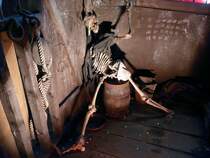 In Genua liegt der Nachbau einer Galeone mit Namen  Neptuno  und nat�rlich haben wir diese auch besichtigt. Hier ein Blick unter Deck, wo die Piraten einen Gefangenen vergessen haben.