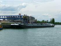 MS St.Nikolaus in Basel am 18.04.2009