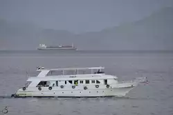 Das Ausflugsboot 
