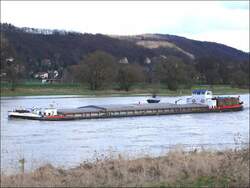 Das tschechische Frachtschiff ANDROMEDA (ex MUSKAU, Baujahr 1963, 7 x 8,20m) aus Decin, ( 09551068 ) die Elbe abw�rts bei Dresden-Laubegast, 19.03.2009  