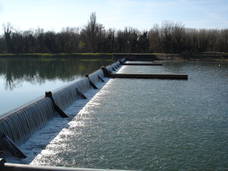 Wehranlage am Alt-Rhein bei Sasbach/BW 