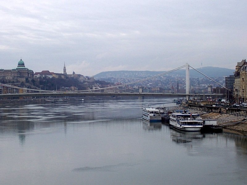 Zwei Ausflugsschiffe an Anlegestellen auf der Donau in Budapest zwischen Elisabethbrücke (hinten) und Freiheitsbrücke (Aufnahmestandpunkt) am 20.01.2007, links der Stadtteil Buda, rechts Pest. Ungarn